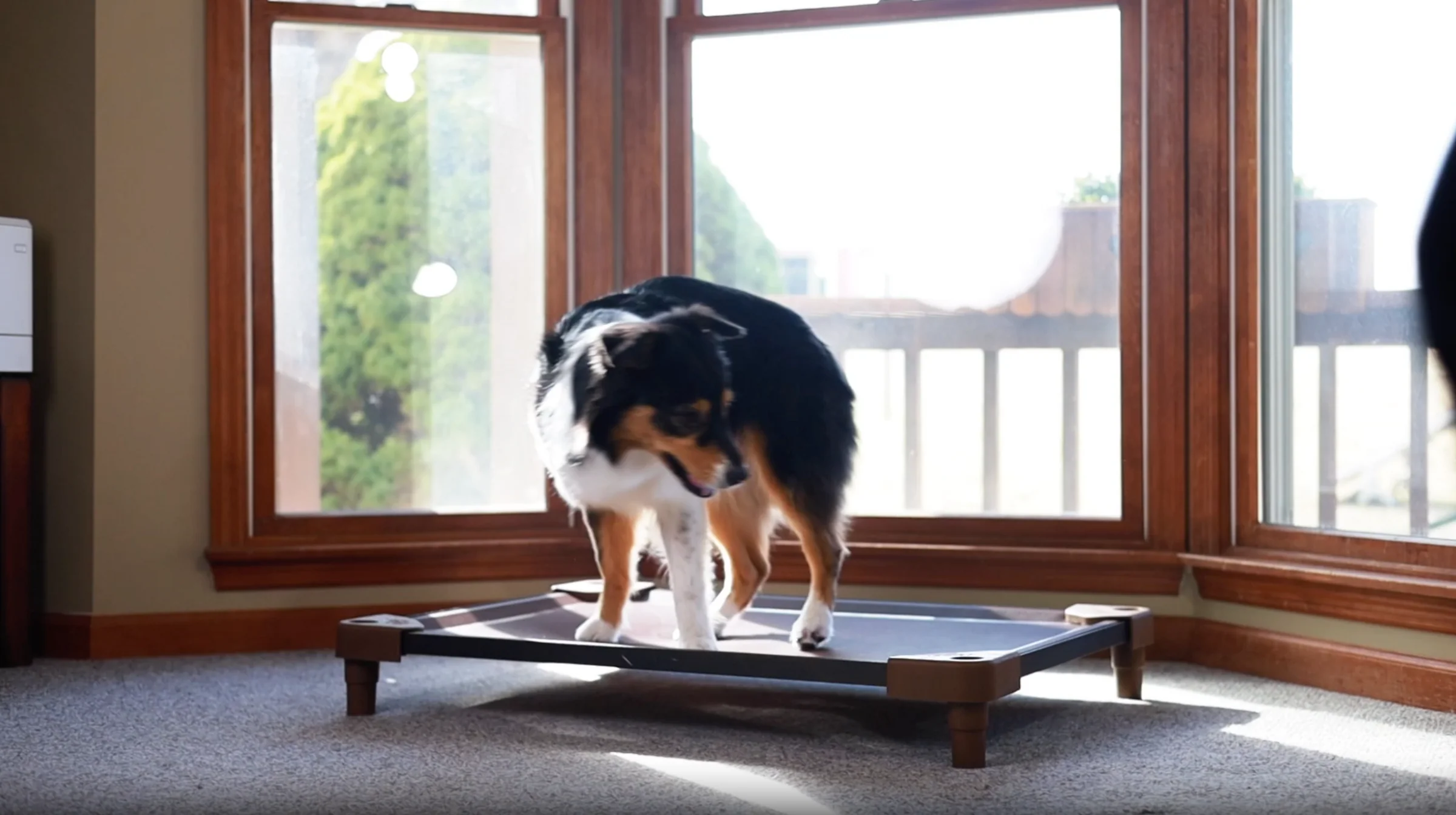 Welcome to Our Store